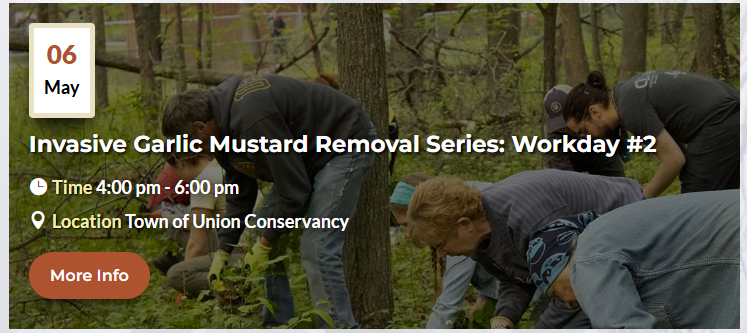 garlic-mustard-day